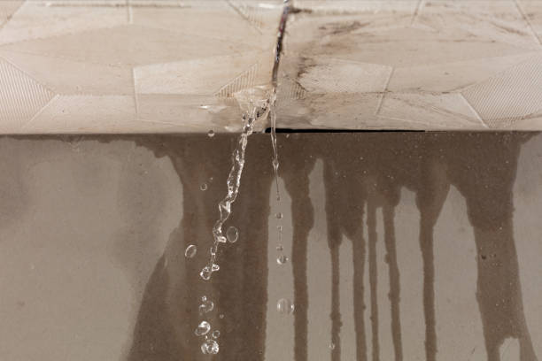 Professional Burst Pipe Cleanup technician working in Williamsburg, KY